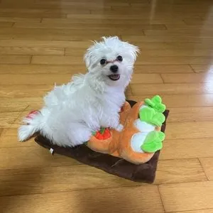 베스트 후기 이미지