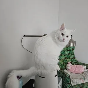 베스트 후기 이미지