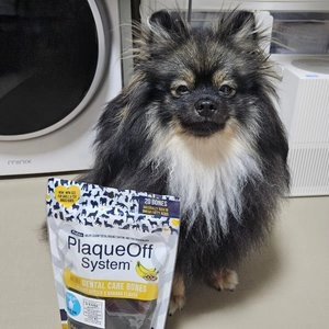 프로덴 독 플라그오프 덴탈케어본 미니 피넛버터&바나나 340g 베스트 후기 이미지