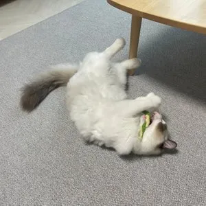 베스트 후기 이미지