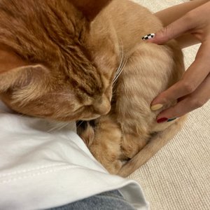 베스트 후기 이미지