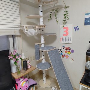베스트 후기 이미지