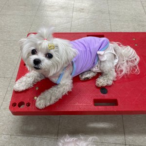 베스트 후기 이미지