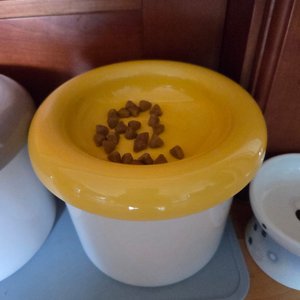 베스트 후기 이미지