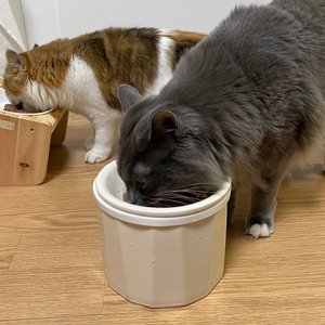 베스트 후기 이미지