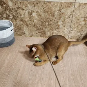 베스트 후기 이미지