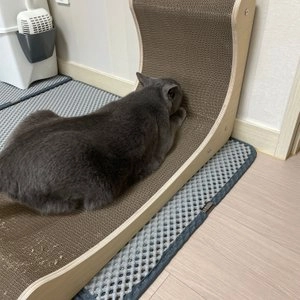 [무료배송] 야오미 우드 엘 대형 수직스크래쳐 베스트 후기 이미지