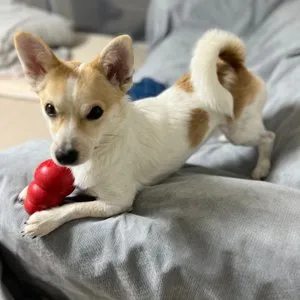 베스트 후기 이미지