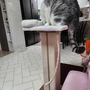 베스트 후기 이미지