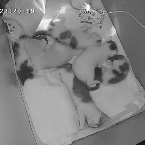 베스트 후기 이미지