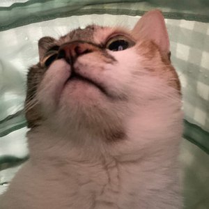 베스트 후기 이미지
