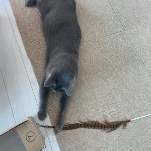 베스트 후기 이미지