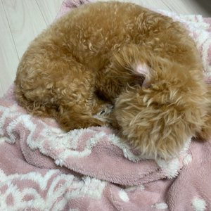 베스트 후기 이미지