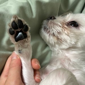 베스트 후기 이미지