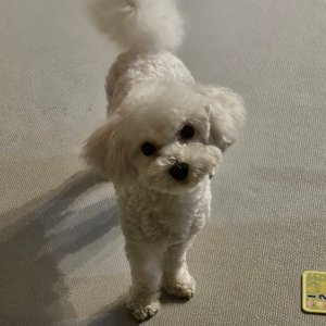베스트 후기 이미지