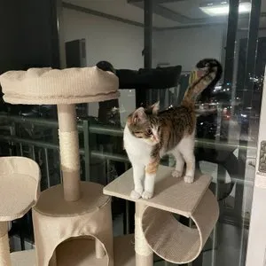 베스트 후기 이미지