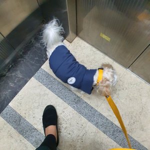 베스트 후기 이미지