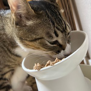 베스트 후기 이미지