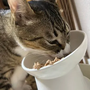 베스트 후기 이미지