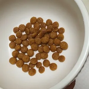 베스트 후기 이미지