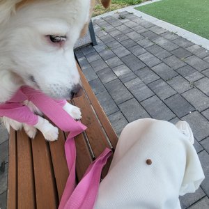 베스트 후기 이미지