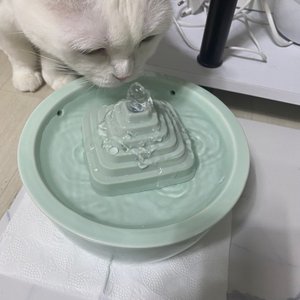 베스트 후기 이미지