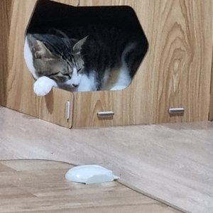 베스트 후기 이미지