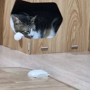 베스트 후기 이미지