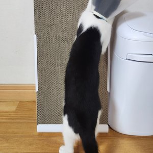 베스트 후기 이미지
