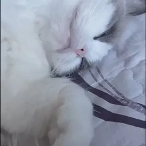 베스트 후기 이미지