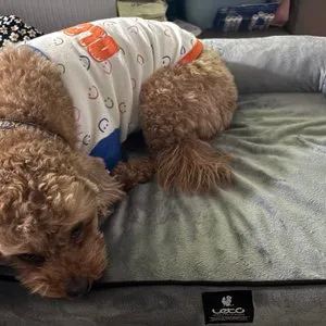 베스트 후기 이미지