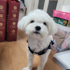 베스트 후기 이미지