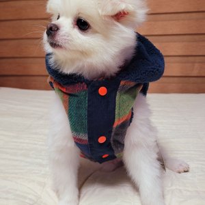 베스트 후기 이미지