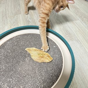 베스트 후기 이미지