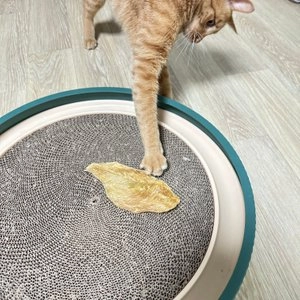 [체험단] 페슬러 느린육포 닭가슴살 1p 베스트 후기 이미지