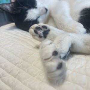 베스트 후기 이미지