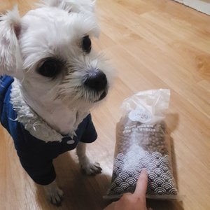 베스트 후기 이미지