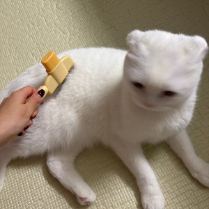 베스트 후기 이미지