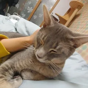 베스트 후기 이미지