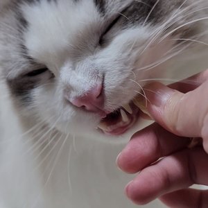 베스트 후기 이미지