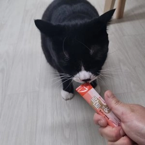 올리브 락토& 황태 육수에 연어 14g*4p 베스트 후기 이미지