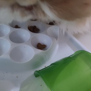 베스트 후기 이미지