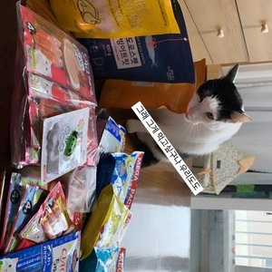 마도로스펫 치킨텐더 100g 베스트 후기 이미지