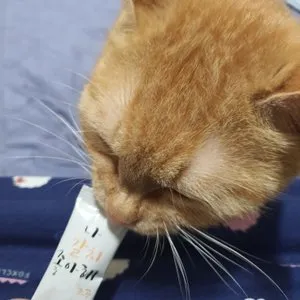 베스트 후기 이미지