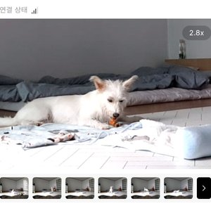 베스트 후기 이미지