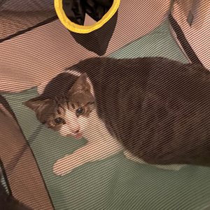 베스트 후기 이미지