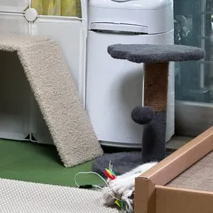 베스트 후기 이미지