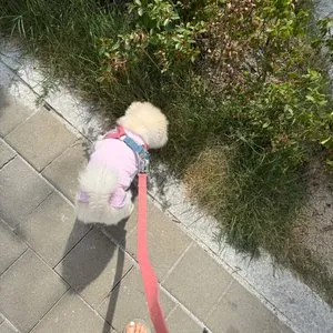 베스트 후기 이미지