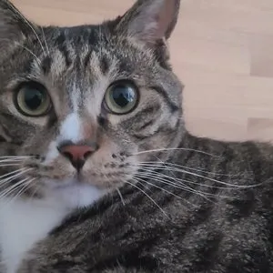 베스트 후기 이미지