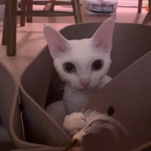 베스트 후기 이미지
